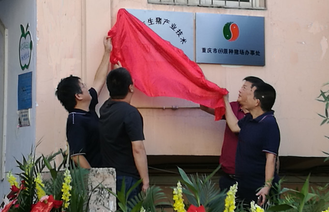 重慶市生豬產(chǎn)業(yè)技術研究院在黔江正式開業(yè)